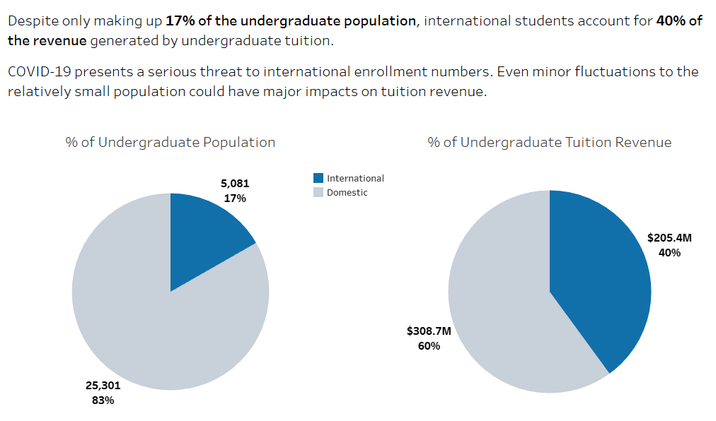 Importance of international students